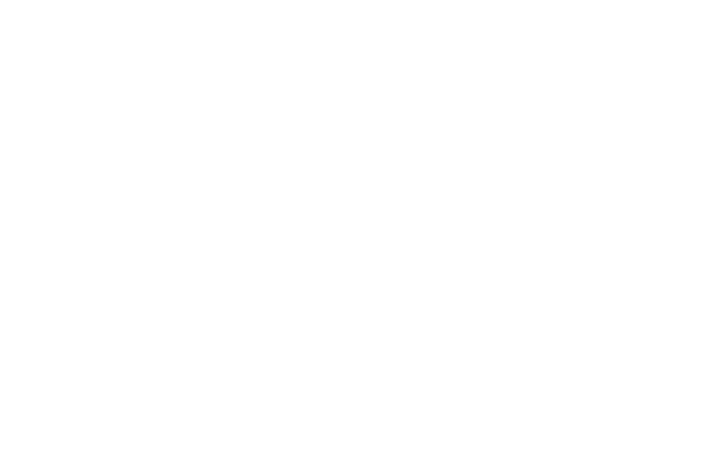 BLACK WOLF