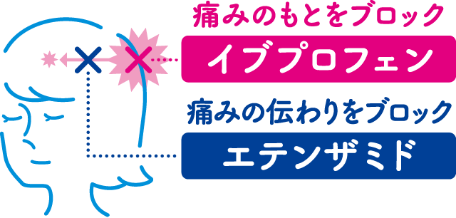 イブプロフェンと エテンザミドが痛みのもとと伝わりをおさえる。 ダブルブロック処方により優れた鎮痛効果を発揮します。