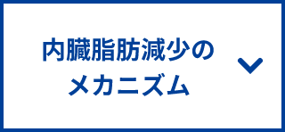 内臓脂肪現象のメカニズム