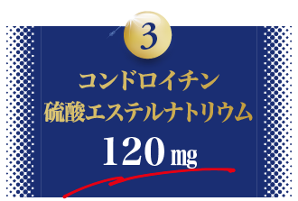 3.コンドロイチン硫酸エステルナトリウム120mg