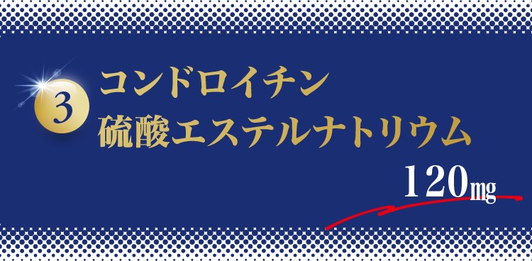 3.コンドロイチン硫酸エステルナトリウム120mg