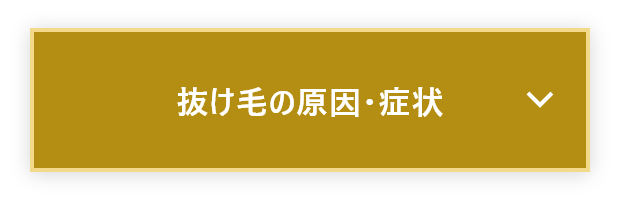 抜け毛の原因・症状に関するお悩み質問と回答に遷移するボタン