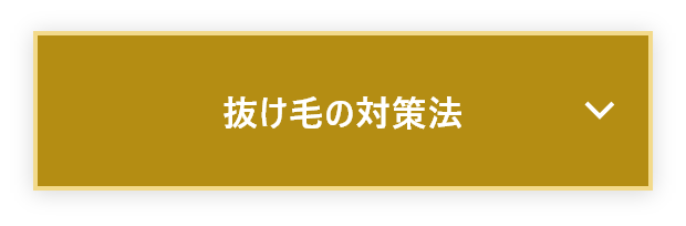 抜け毛の対策法に関するお悩み質問と回答に遷移するボタン