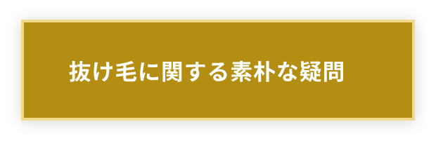 抜け毛に関する素朴な疑問/都市伝説的な疑問に関するお悩み質問と回答に遷移するボタン