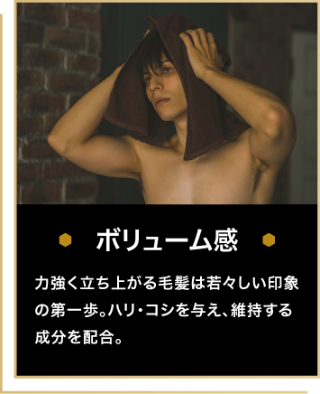 ボリューム感