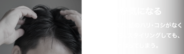 ハリ・コシが気になる