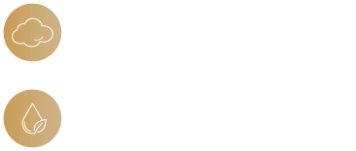 クリーミーな泡立ち、ギシギシしない洗い心地