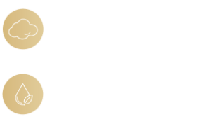 クリーミーな泡立ち、ギシギシしない洗い心地