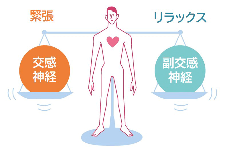 ストレス白髪にかかわる自律神経の働きとは？