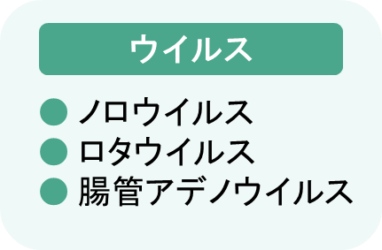 食中毒の原因：ウイルス