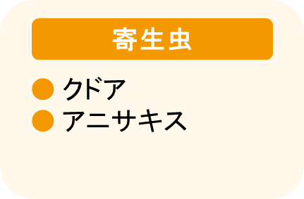 食中毒の原因：寄生虫