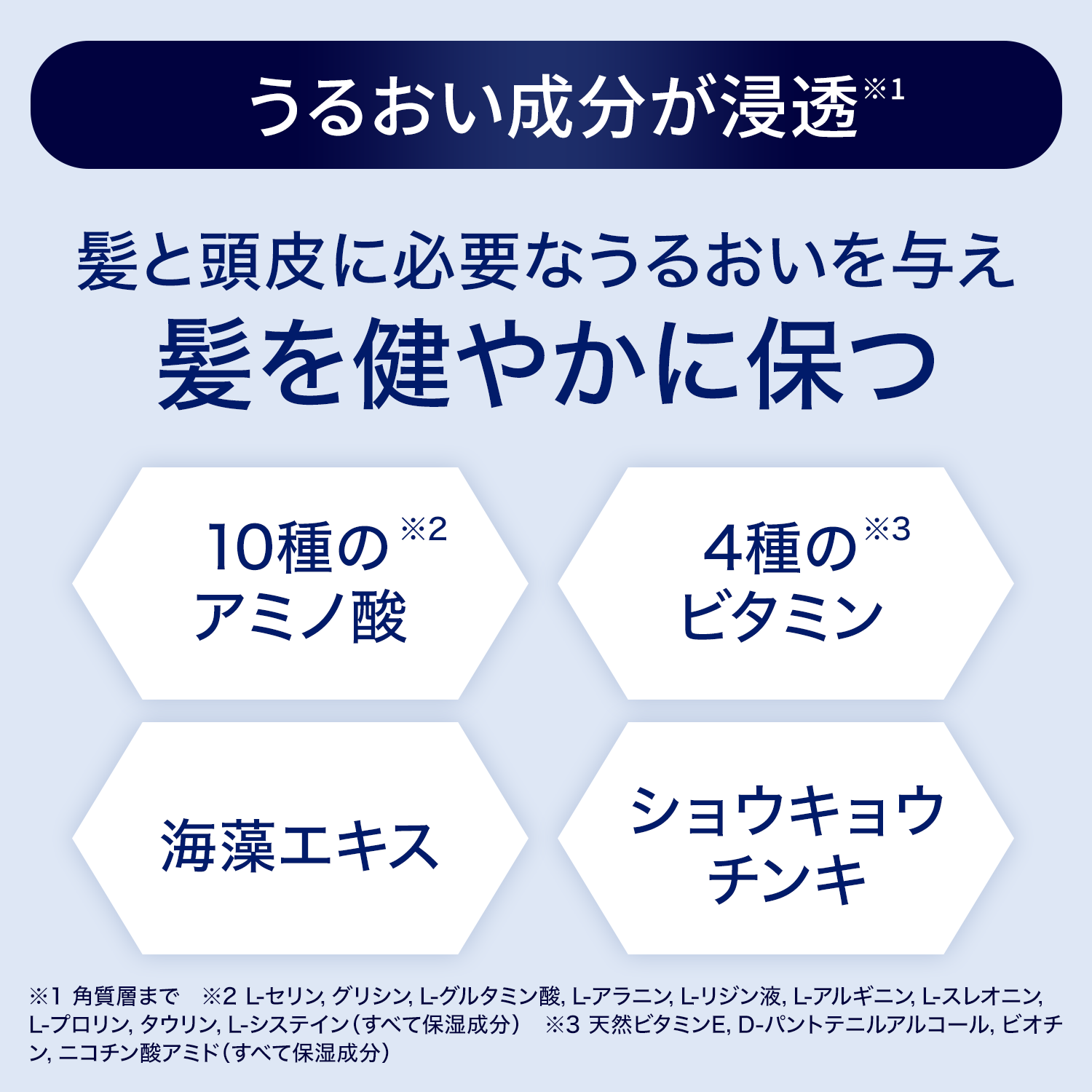 うるおい成分が浸透、髪と頭皮に必要なうるおいを与え、髪を健やかに保ちます