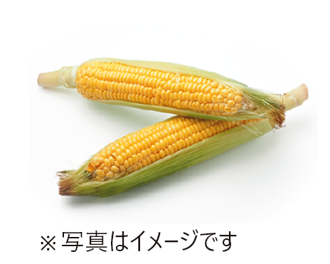 トウモロコシのイメージ画像