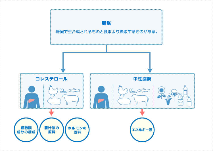 脂質とは