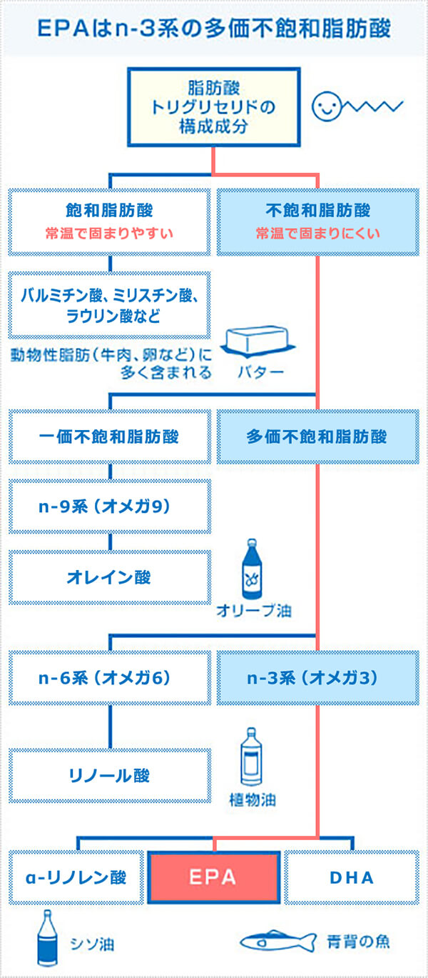 EPAとは