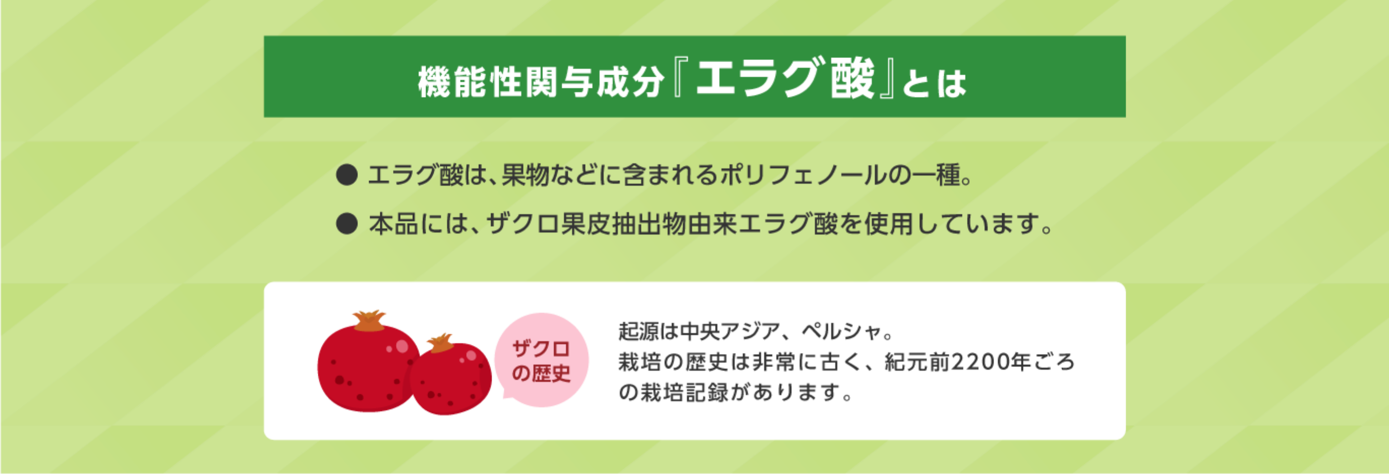 機能関与成分「エラグ酸」とは