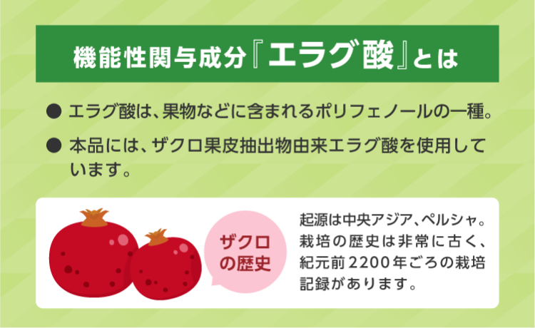 機能関与成分「エラグ酸」とは