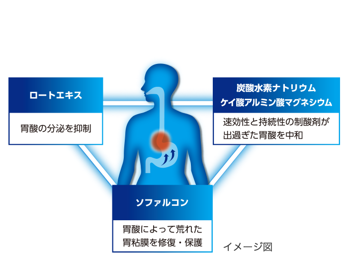 ロートエキス、ソファルコン、炭酸水素ナトリウム、ケイ酸アルミン酸マグネシウム