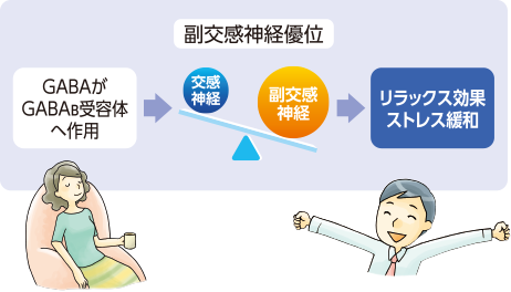 アンセリンは尿酸を産生する酵素を阻害し、プリン体を再合成する酵素の発現を亢進させることにより、尿酸の産生を抑制します。