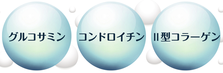 グルコサミン、コンドロイチン、Ⅱ型コラーゲン