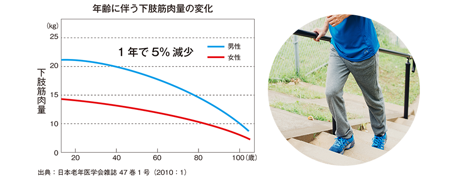 年齢に伴う下肢筋力量の変化