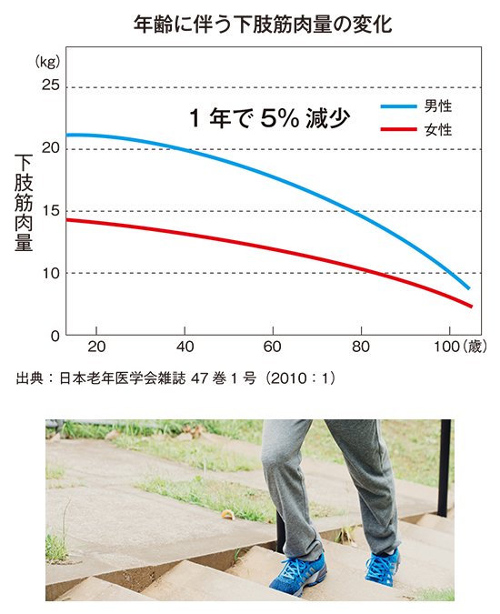 年齢に伴う下肢筋力量の変化