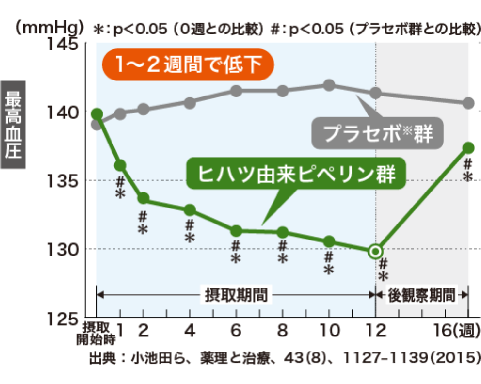 「ヒハツ由来ピペリン」による血圧の変化