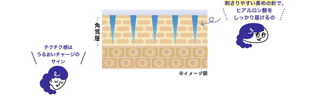 角質層までうるおいを届ける