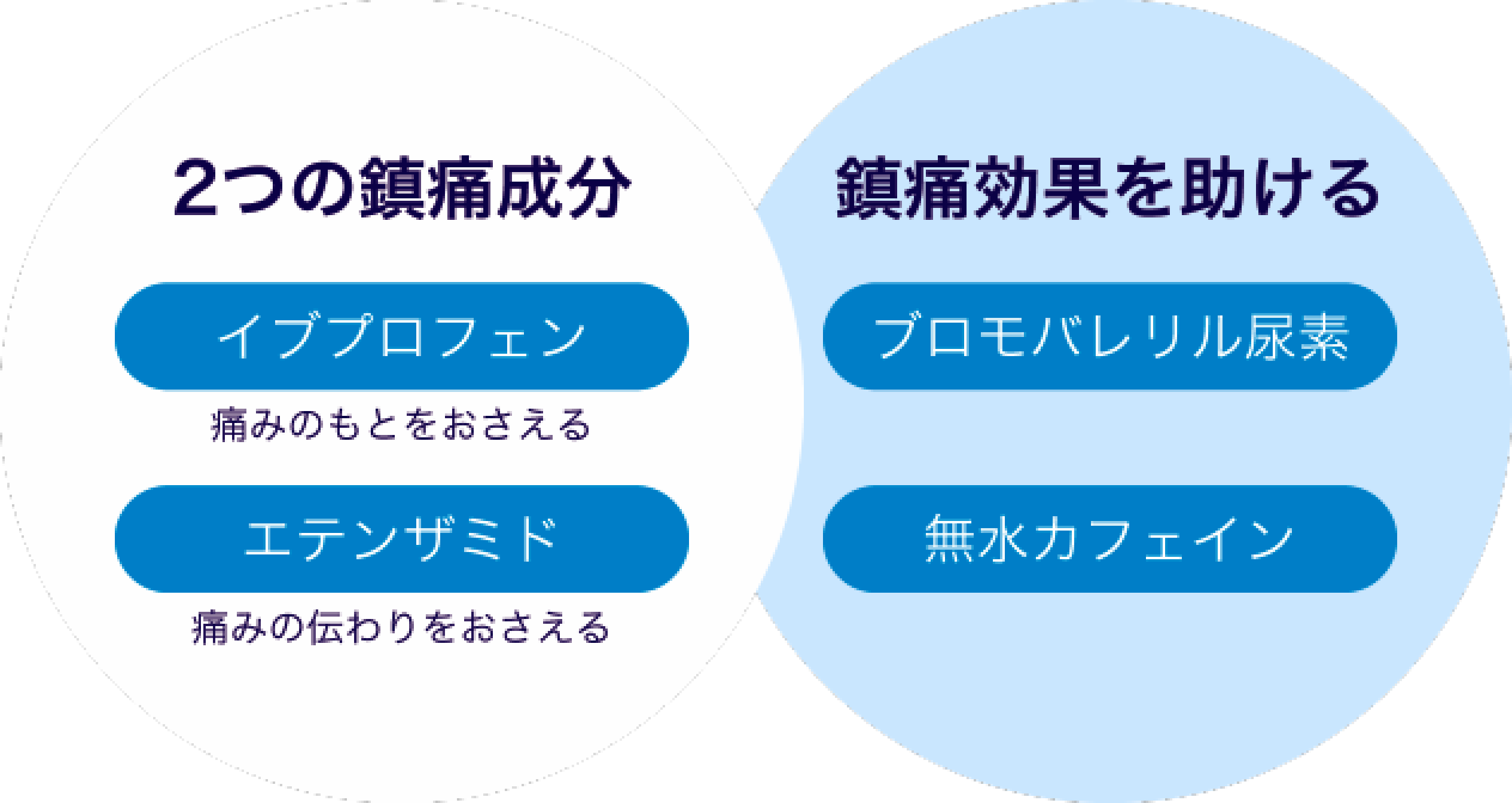 ２つの鎮痛成分＆鎮痛効果を助ける成分