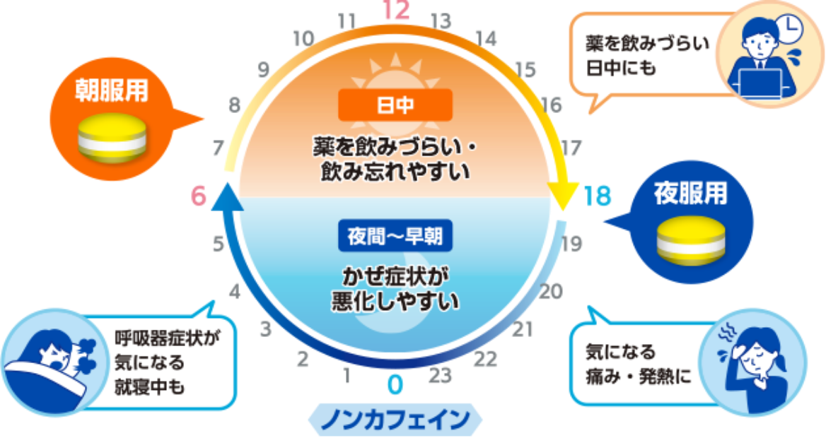 朝晩2回の服用で、 効果が長く続く！