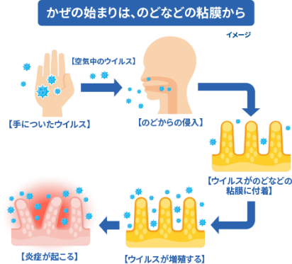 かぜの始まりは、のどなどの粘膜から