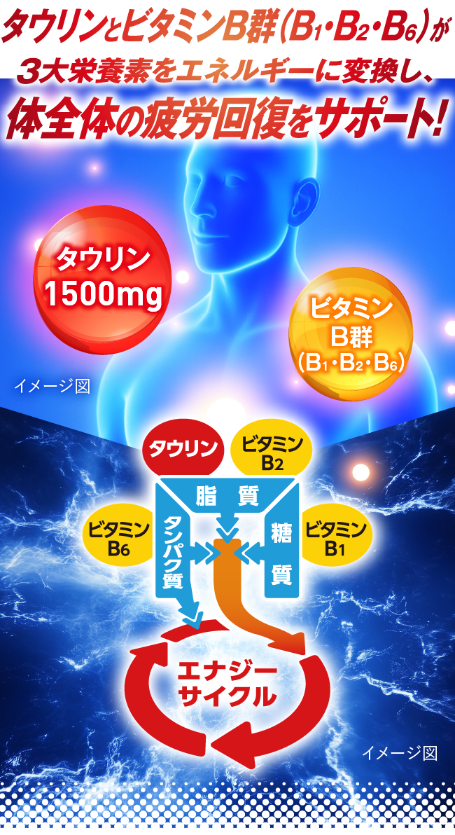 タウリンとビタミンB群が、体全体の疲労回復をサポート！