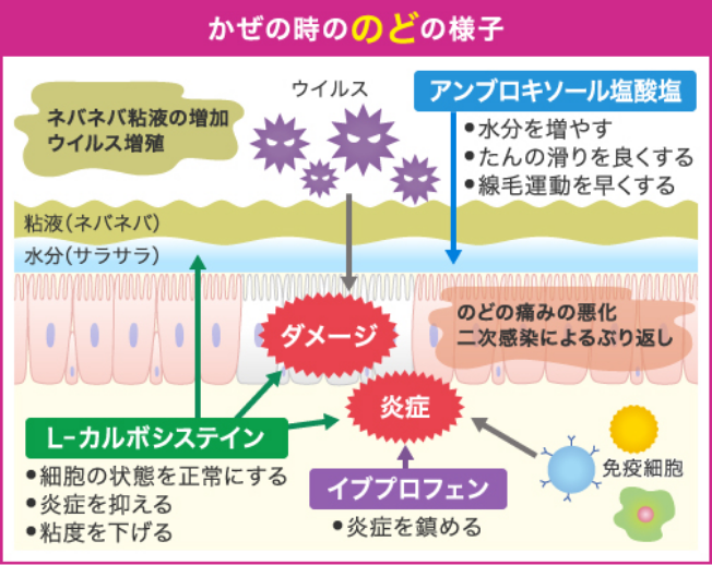 かぜの時ののどの様子
