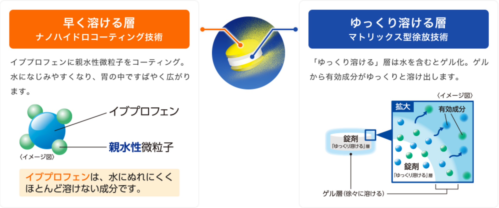 早く溶けて、⻑く効く！時間差アクション錠