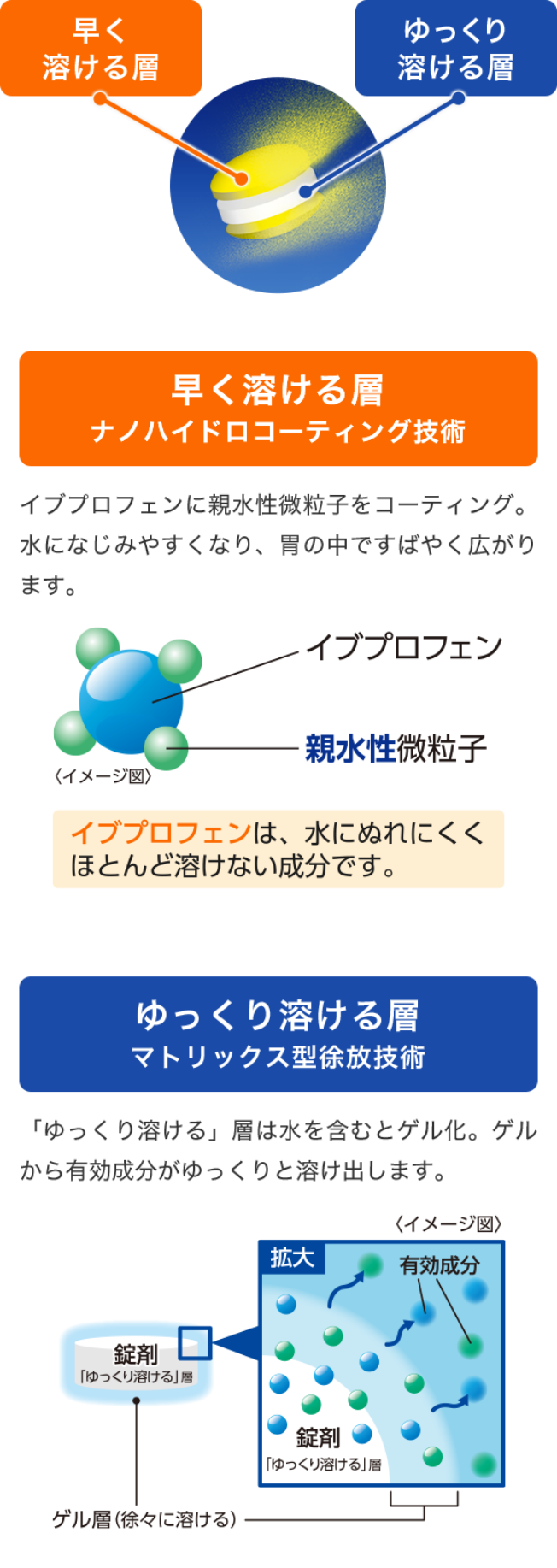 早く溶けて、⻑く効く！時間差アクション錠