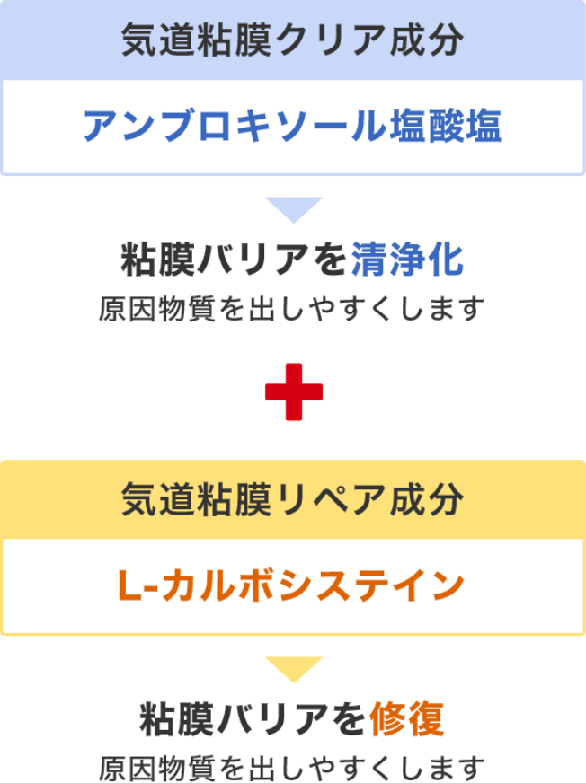 気道粘膜クリア成分「アンブロキソール塩酸塩」が粘膜バリアを清浄化＋気道粘膜リペア成分「L-カルボシステイン」が粘膜バリアを修復し、原因物質を出しやすくします