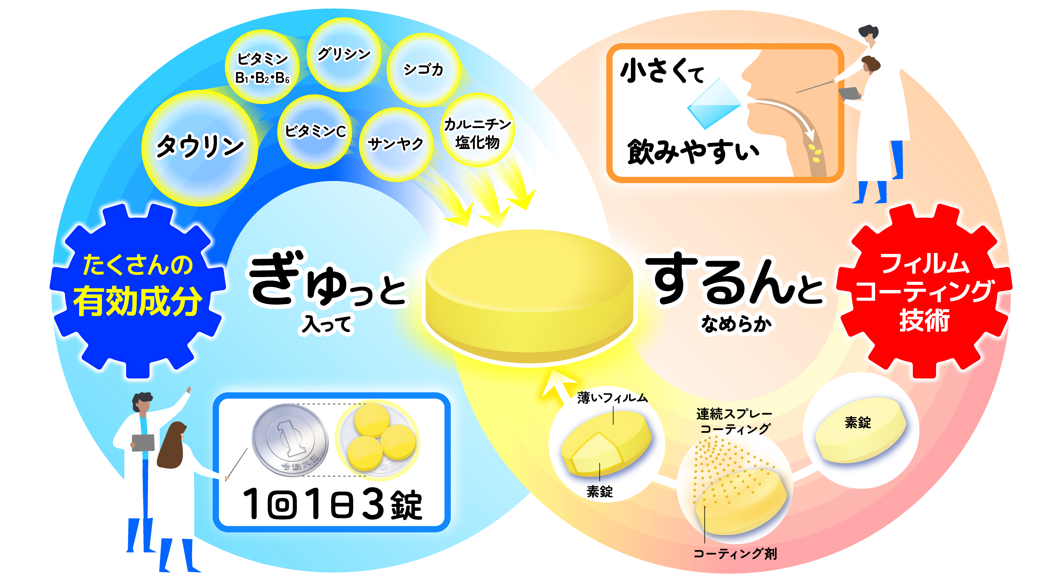 ぎゅっと入ってするんとなめらか