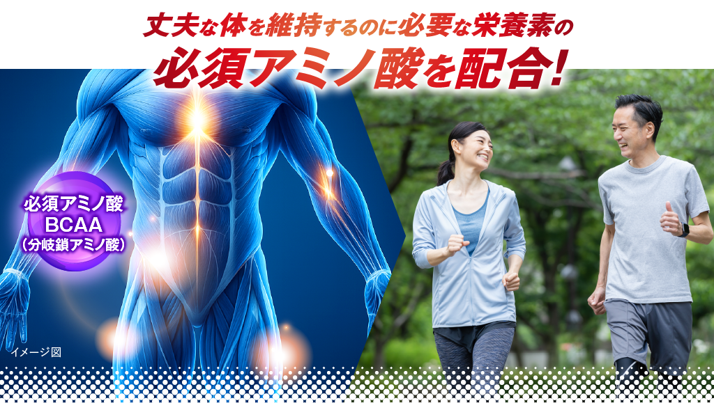丈夫な体を維持するのに必要な栄養素の必須アミノ酸を配合！