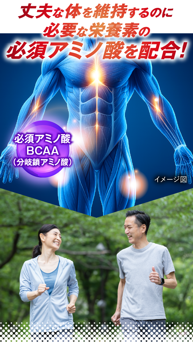 丈夫な体を維持するのに必要な栄養素の必須アミノ酸を配合！