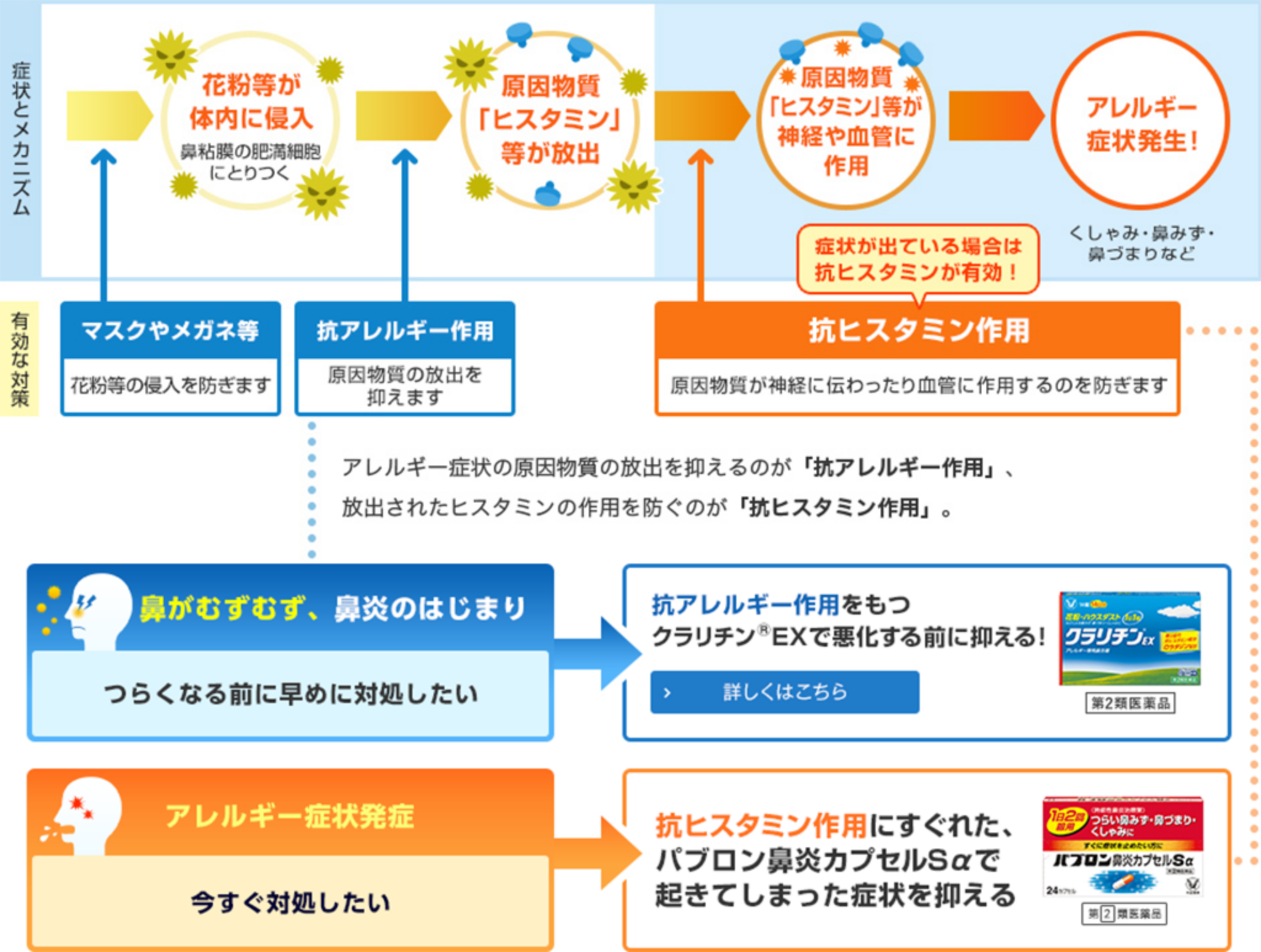 アレルギー症状の発症メカニズムを知ろう！