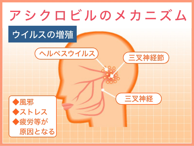 アシクロビルのメカニズム ウイルスの増殖