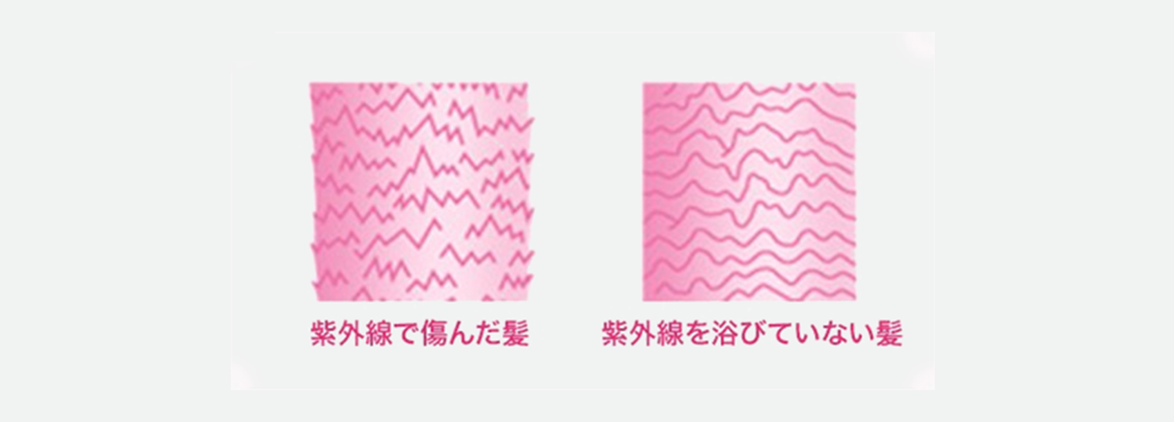 紫外線が髪に与えるダメージ
