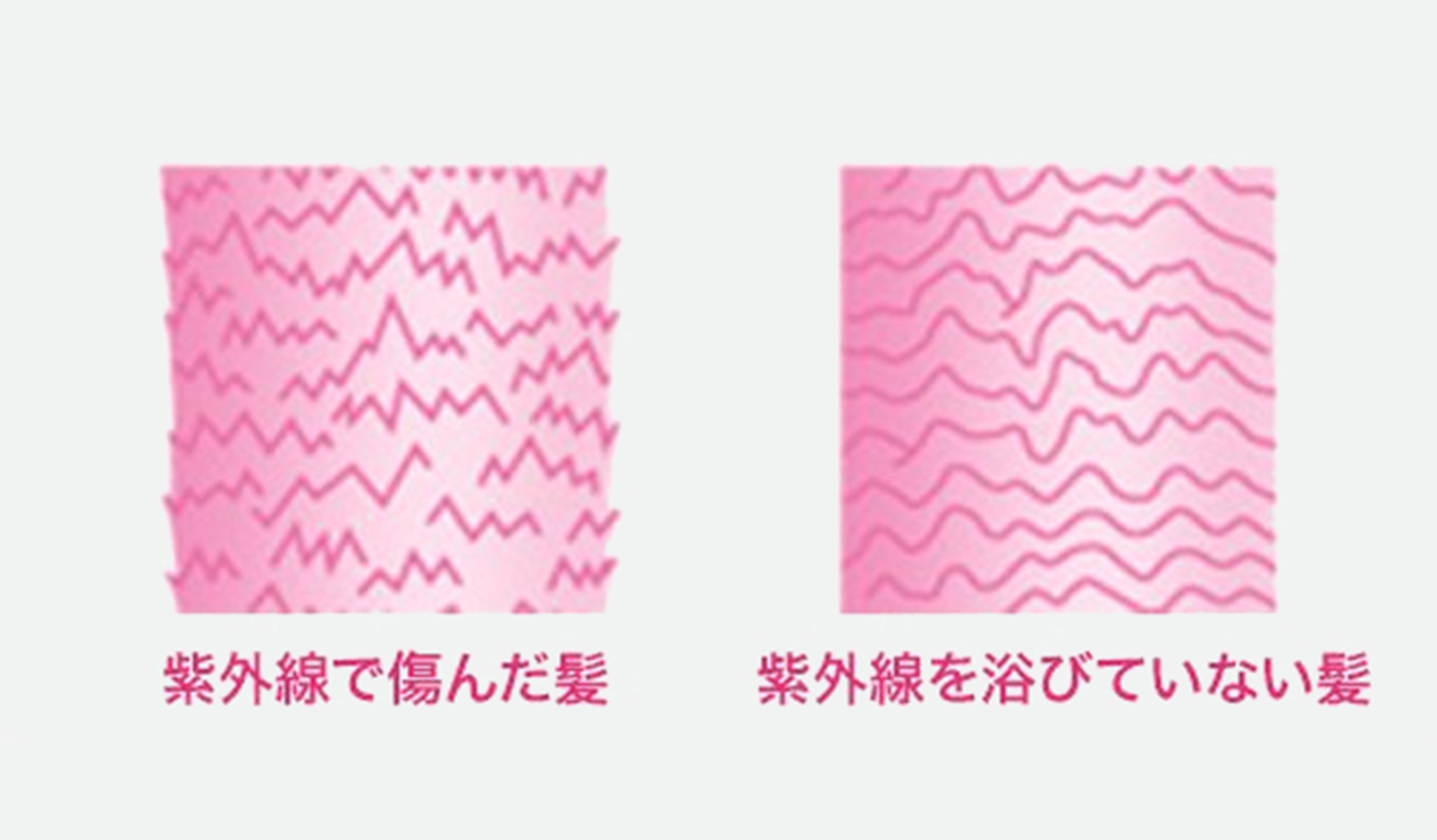 紫外線が髪に与えるダメージ