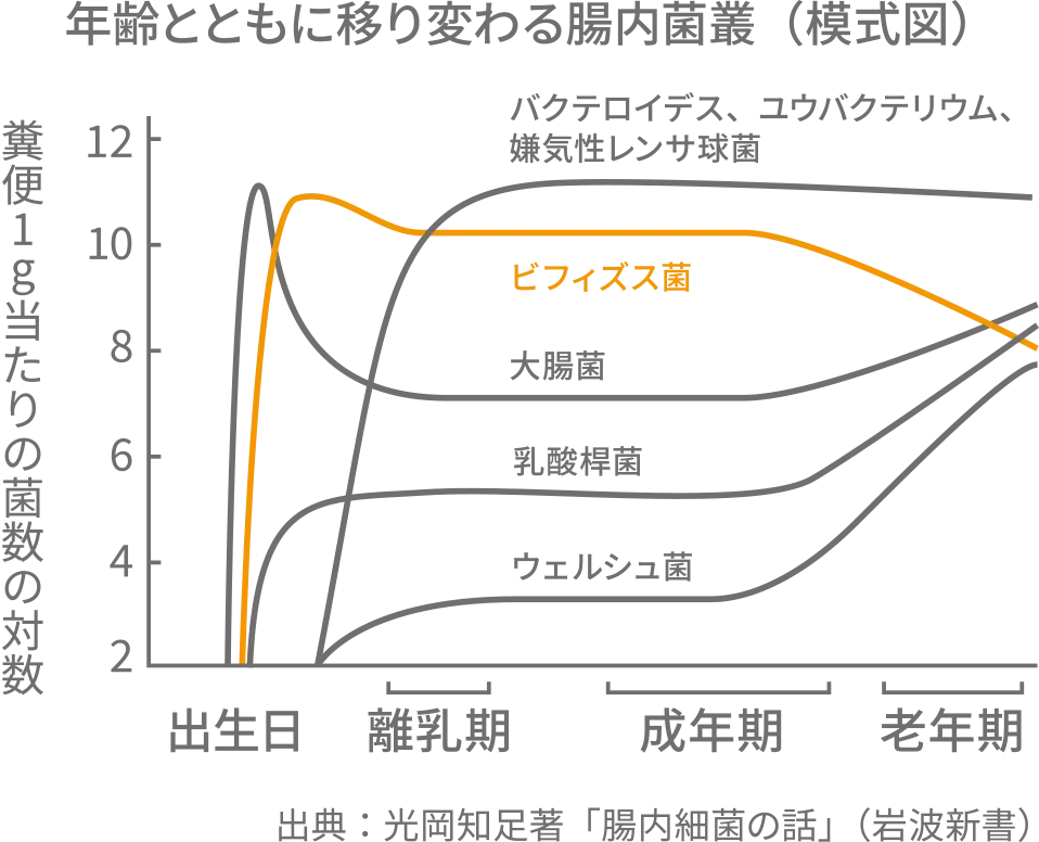 年齢とと喪に移り変わる腸内菌叢の模式図