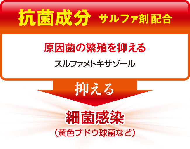 抗菌成分サルファ剤配合。原因菌の繁殖を抑えるスルファメトキサゾールが、細菌感染（黄色ブドウ球菌等）を抑える。