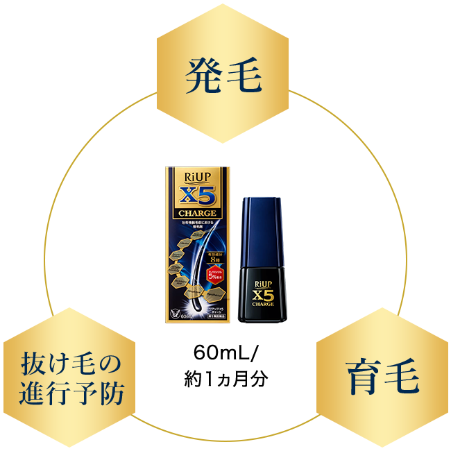 発毛、抜け毛の進行予防、育毛