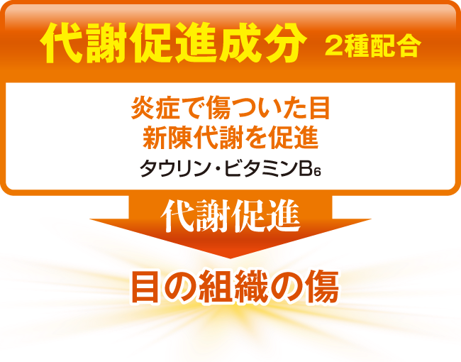 代謝促進成分2成分配合。炎症で傷ついた目、新陳代謝を促進。タウリン・ビタミンB6が目の組織の傷の代謝を促進。
