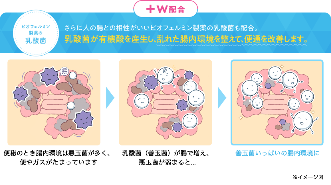 乳酸菌が乱れた腸内環境を整えたイメージイラスト