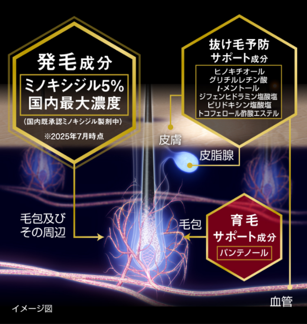 リアップX5チャージの作用イメージ図