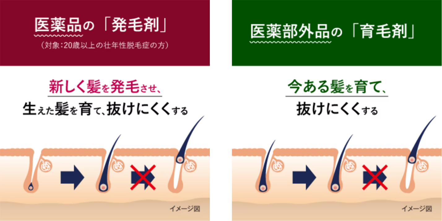 医薬品の「発毛剤」の作用。新しく髪を発毛させ、生えた髪を育て、抜けにくくする。医薬部外品の「育毛剤」の作用。今ある髪を育て、抜けにくくする。